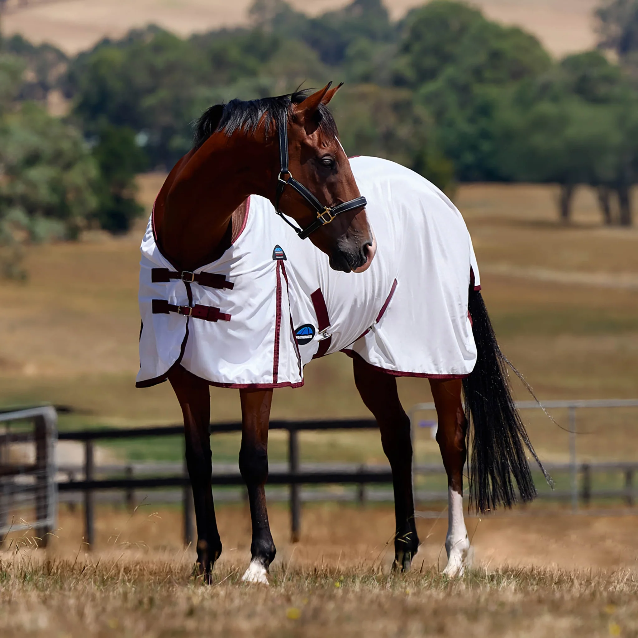 9477-weatherbeeta-comfitec-essential-fly-sheet-3.webp Weatherbeeta ComFiTec Essential Fly Sheet