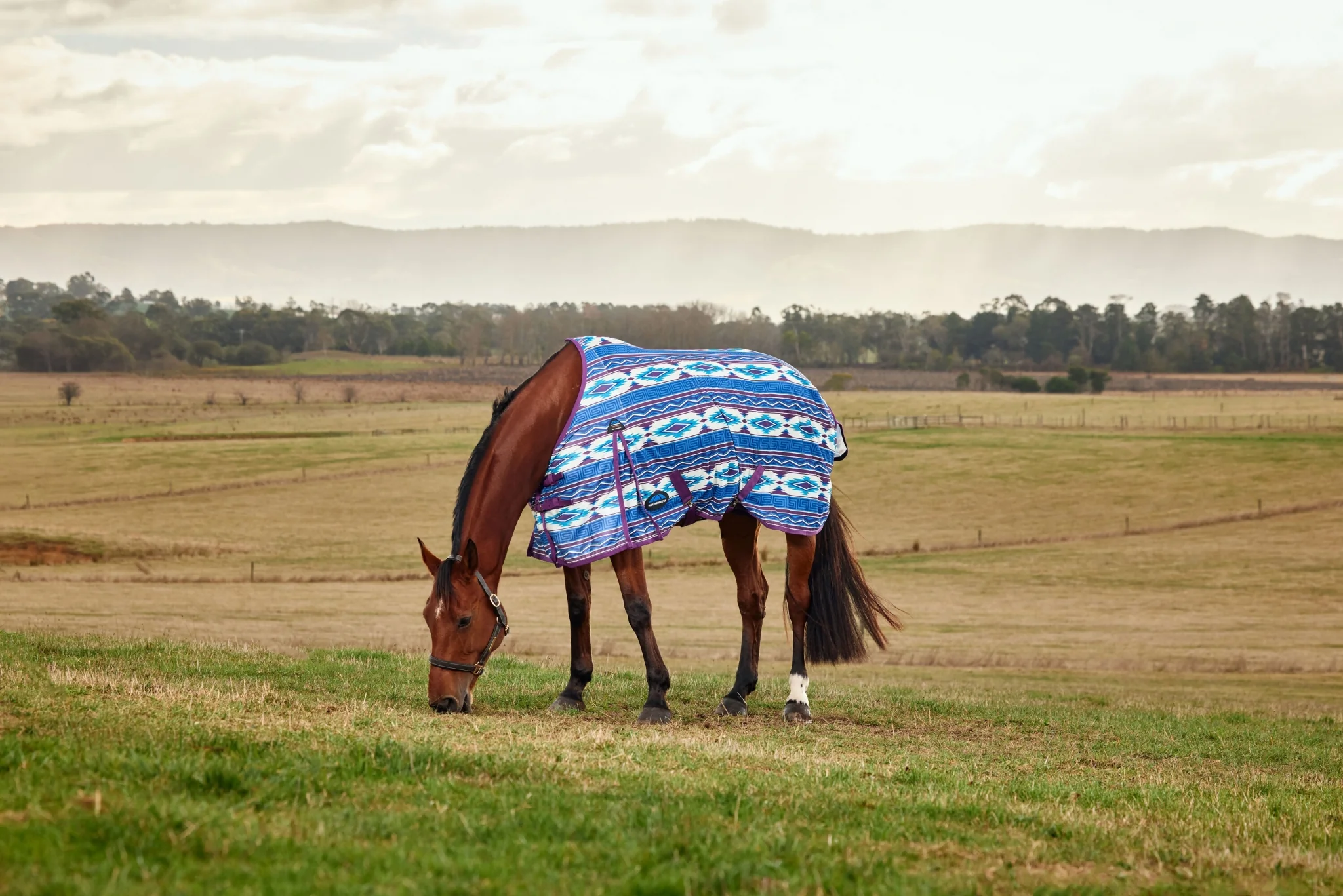 9477-weatherbeeta-comfitec-essential-fly-sheet-9.webp Weatherbeeta ComFiTec Essential Fly Sheet