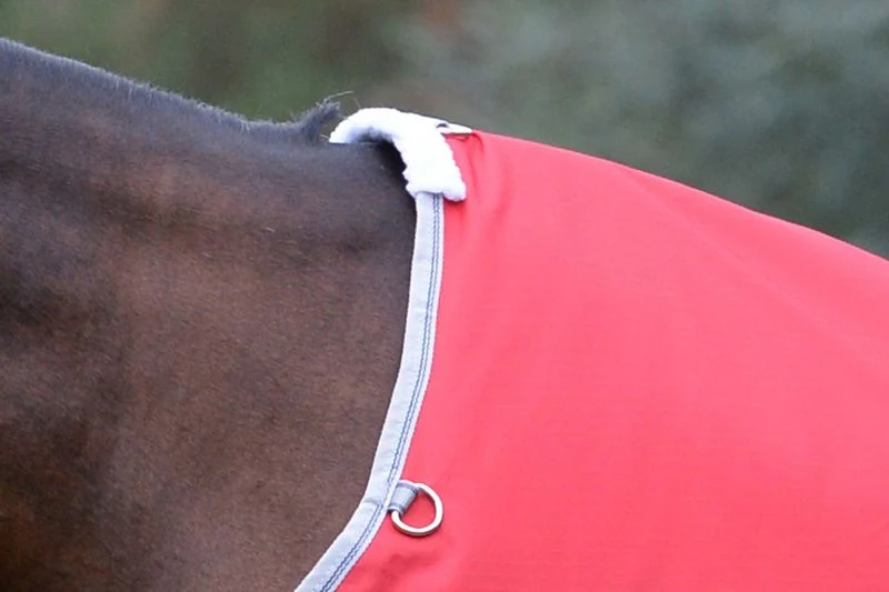 Weatherbeeta ComFiTec Classic Standard Neck Lite Plus Turnout